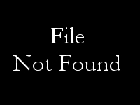 WendiStiliner WendiStiliner